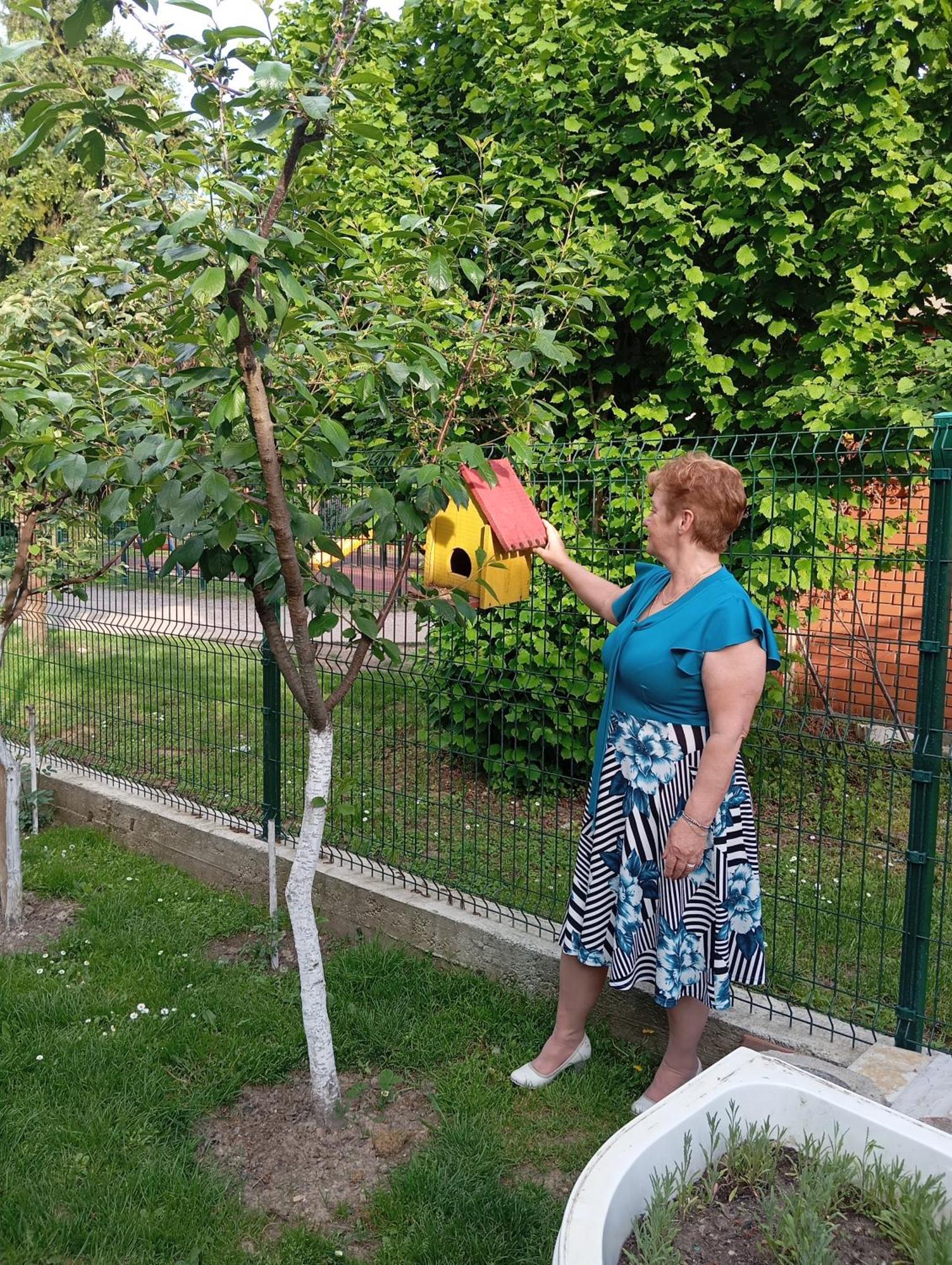 Milica Apartmani Rednek Kültér fotó