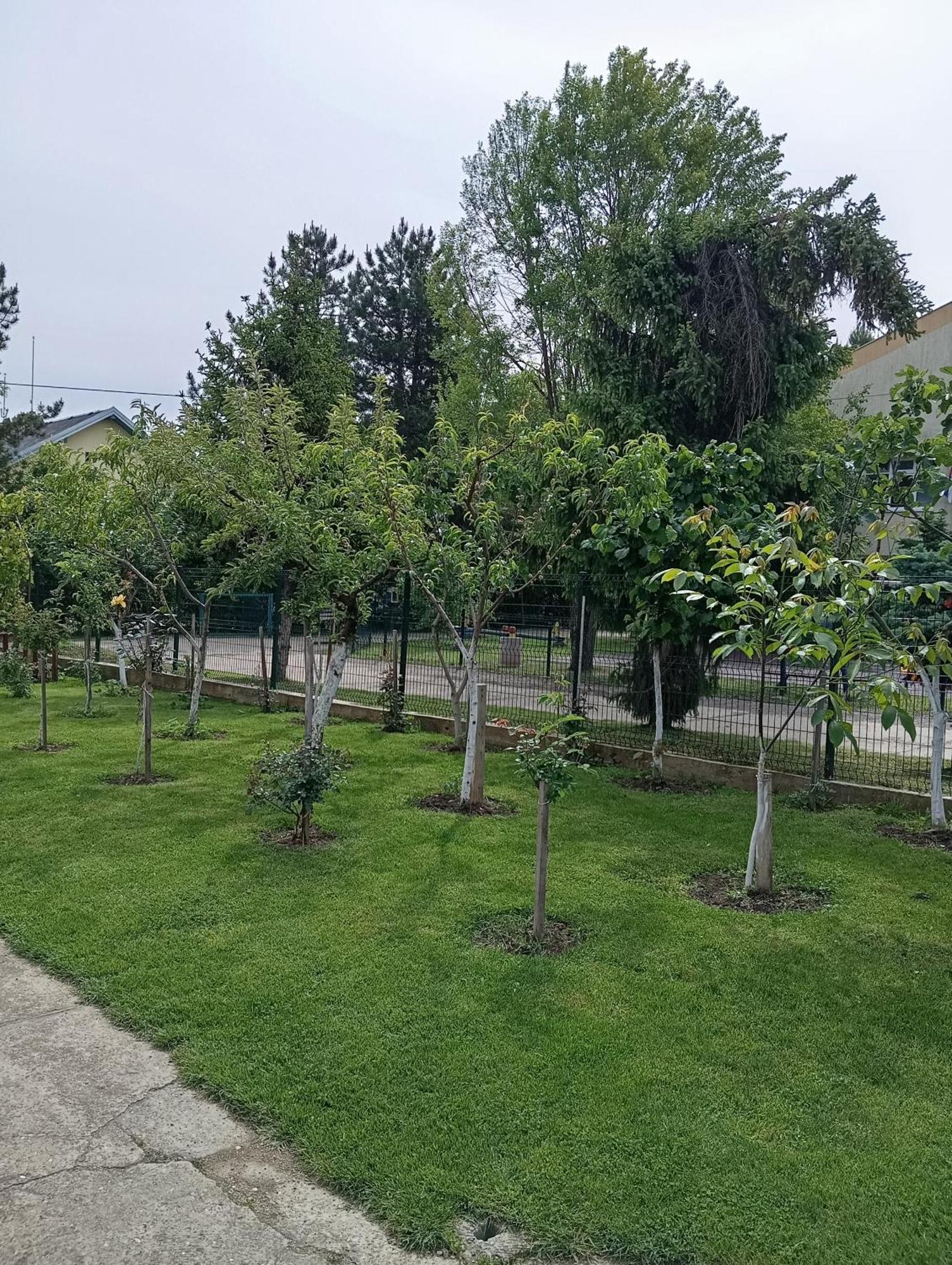 Milica Apartmani Rednek Kültér fotó